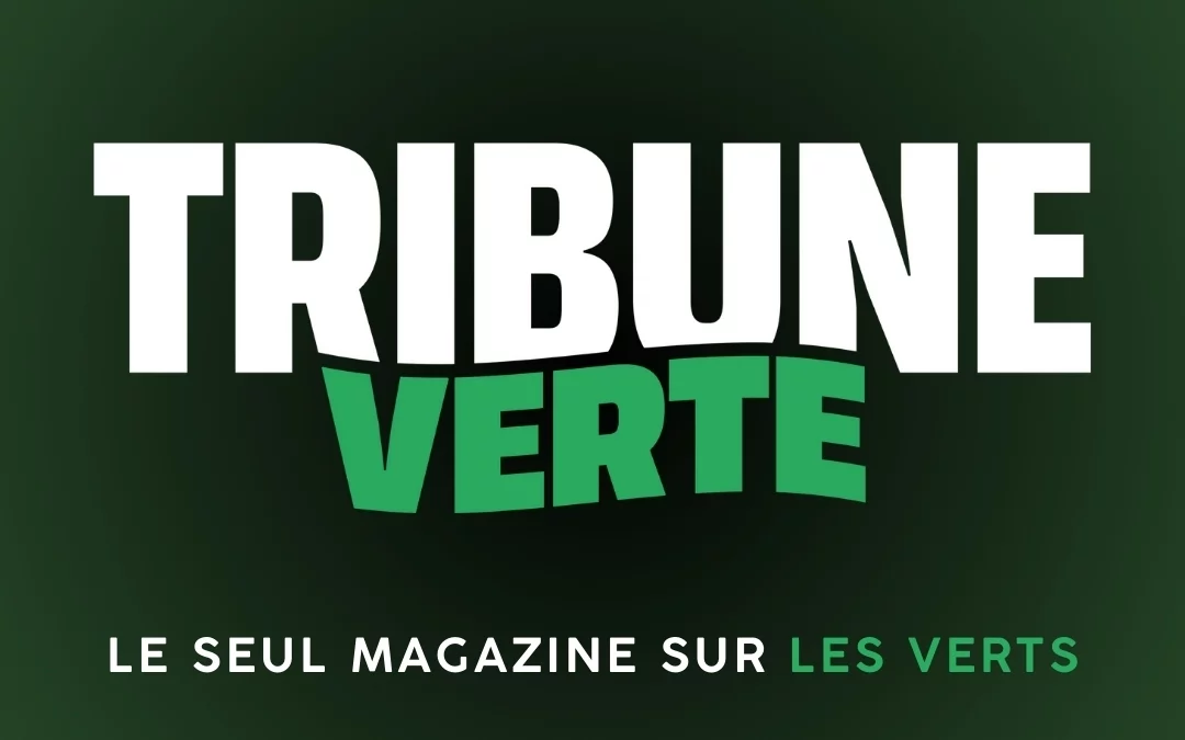 Tribune Verte : un nouveau souffle pour les supporters de l’ASSE